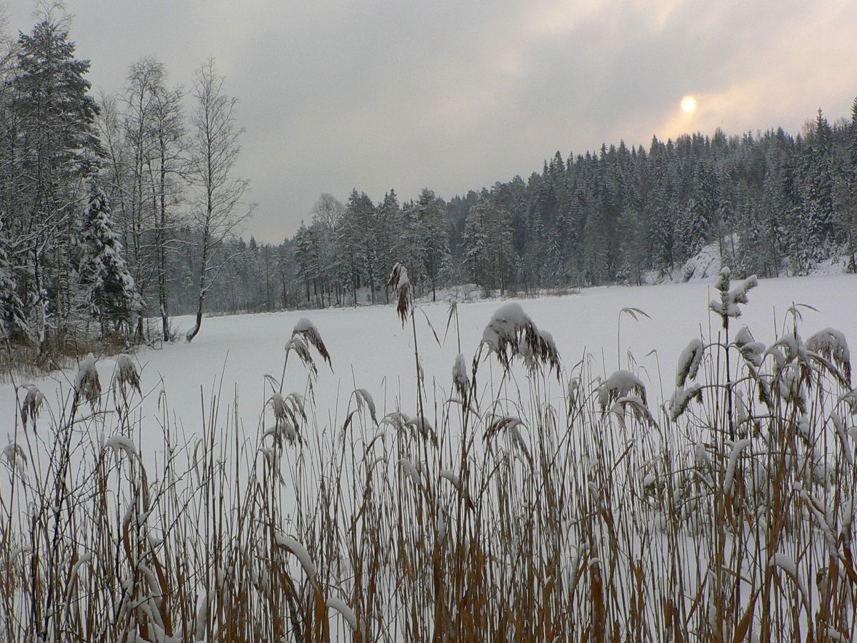 Lav vintersol over Kløftetjern