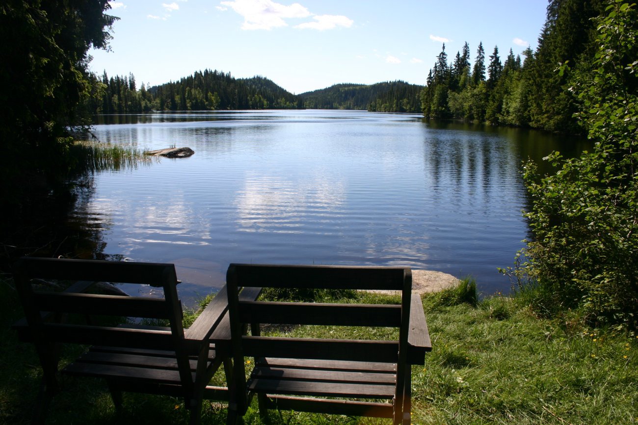 Ledig plass i s(t)olen