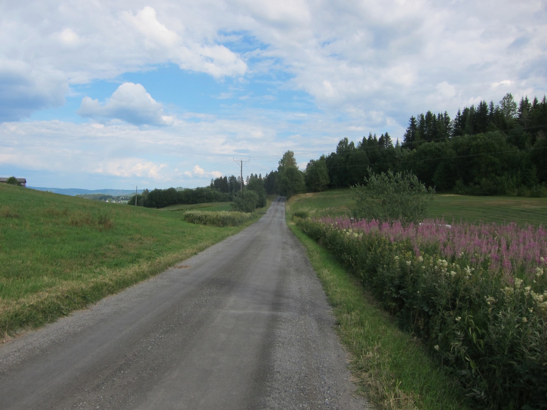 Lett gjennom Feldbergveien