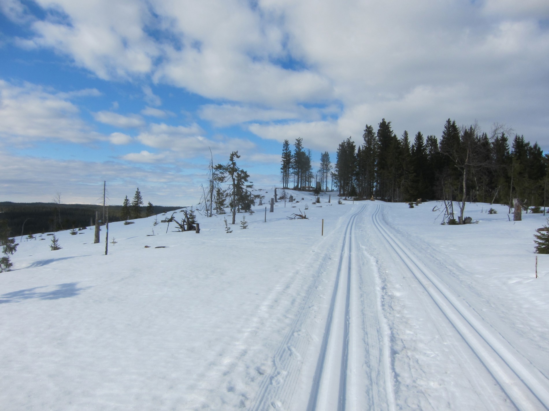 Lett løype til Rognlihaugen