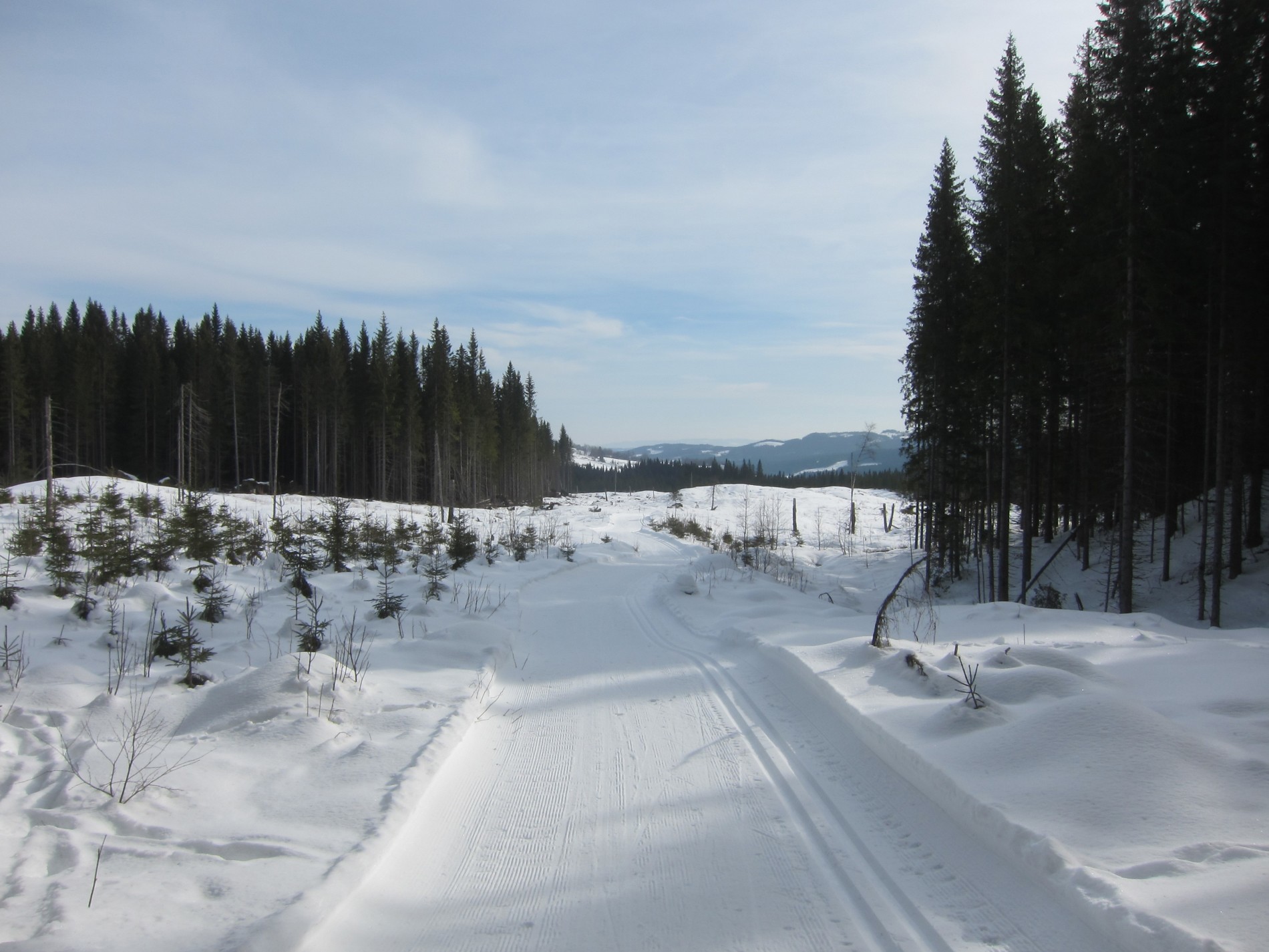 Lett nedoverbakke i Ålstaddalen