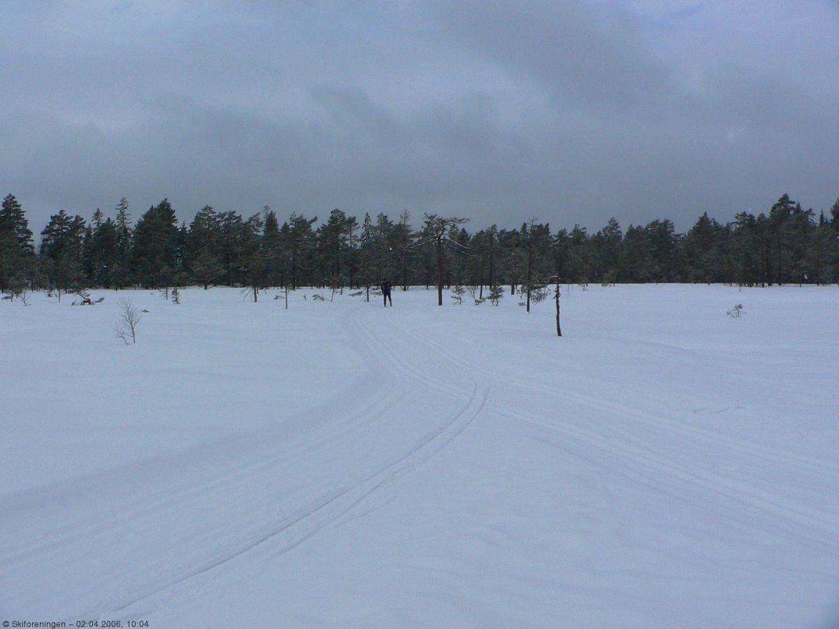 Lett snøvær på Bertelsmyr