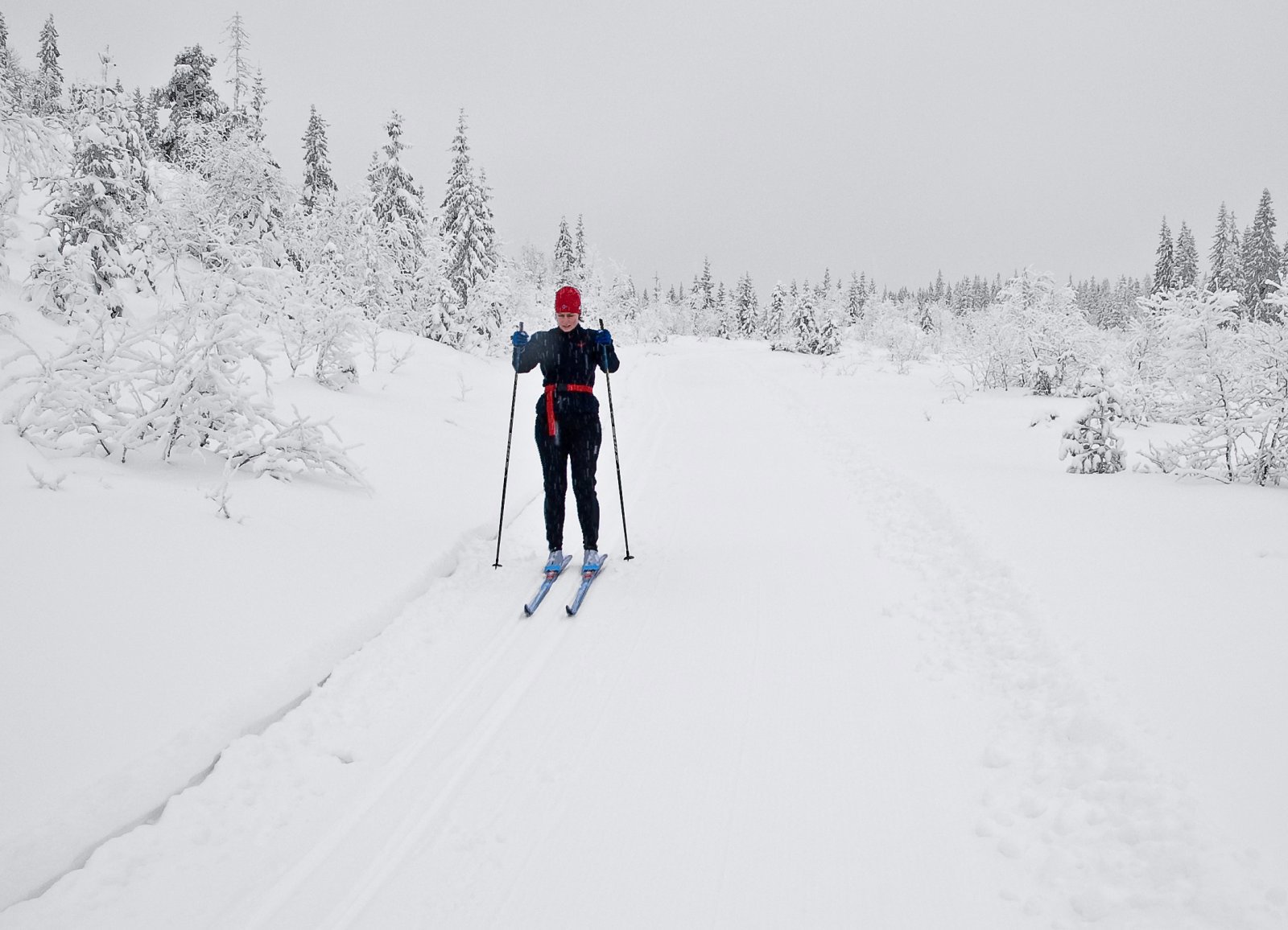 Lett synlig i hvitt landskap