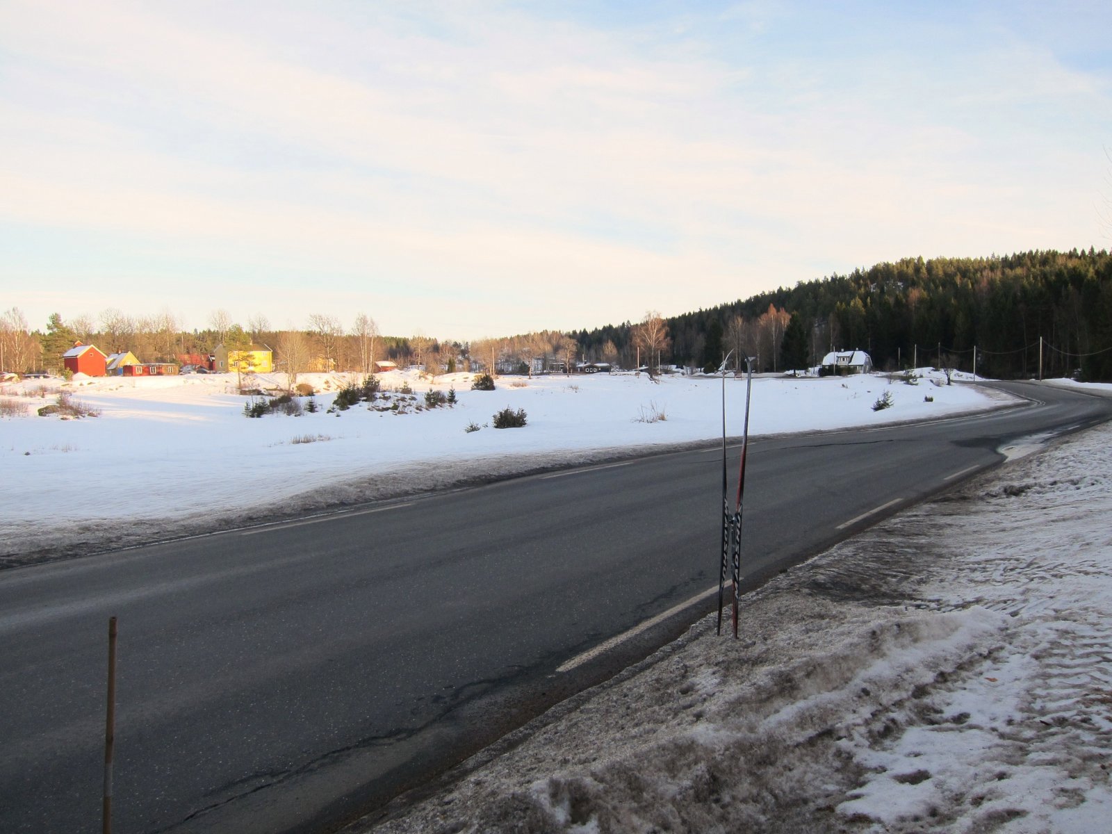 Lindebråte i ettermiddagssol