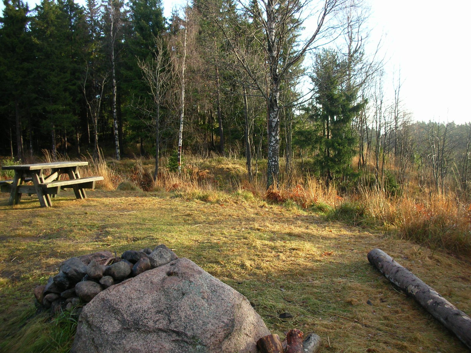 Linderudseter - tufter etter siste seterdrift i Aker