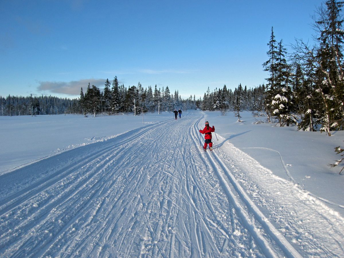 Liten skiløper i stort landskap