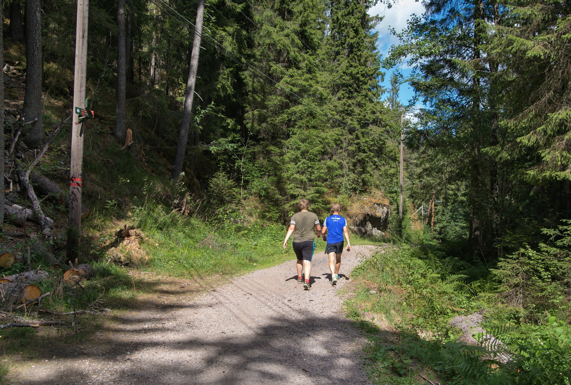 Litt skygge, men mest sol på skogsbilveien mot Breisjøen