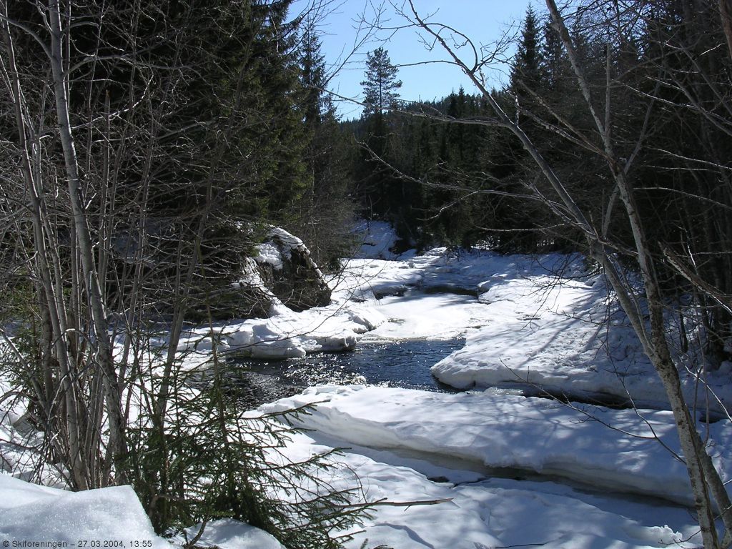 Lomma har startet på våren!