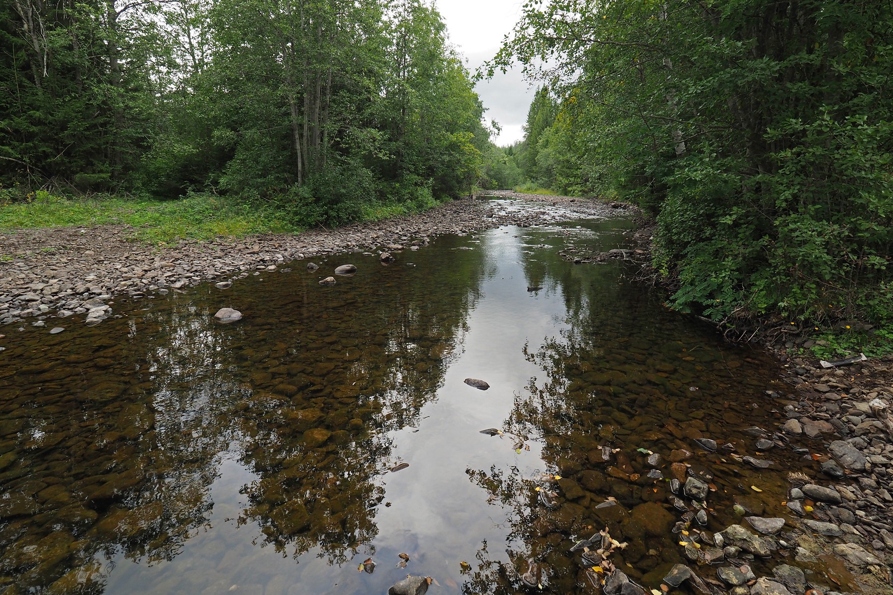 Lommas elveløp: vannputter i en steinørken