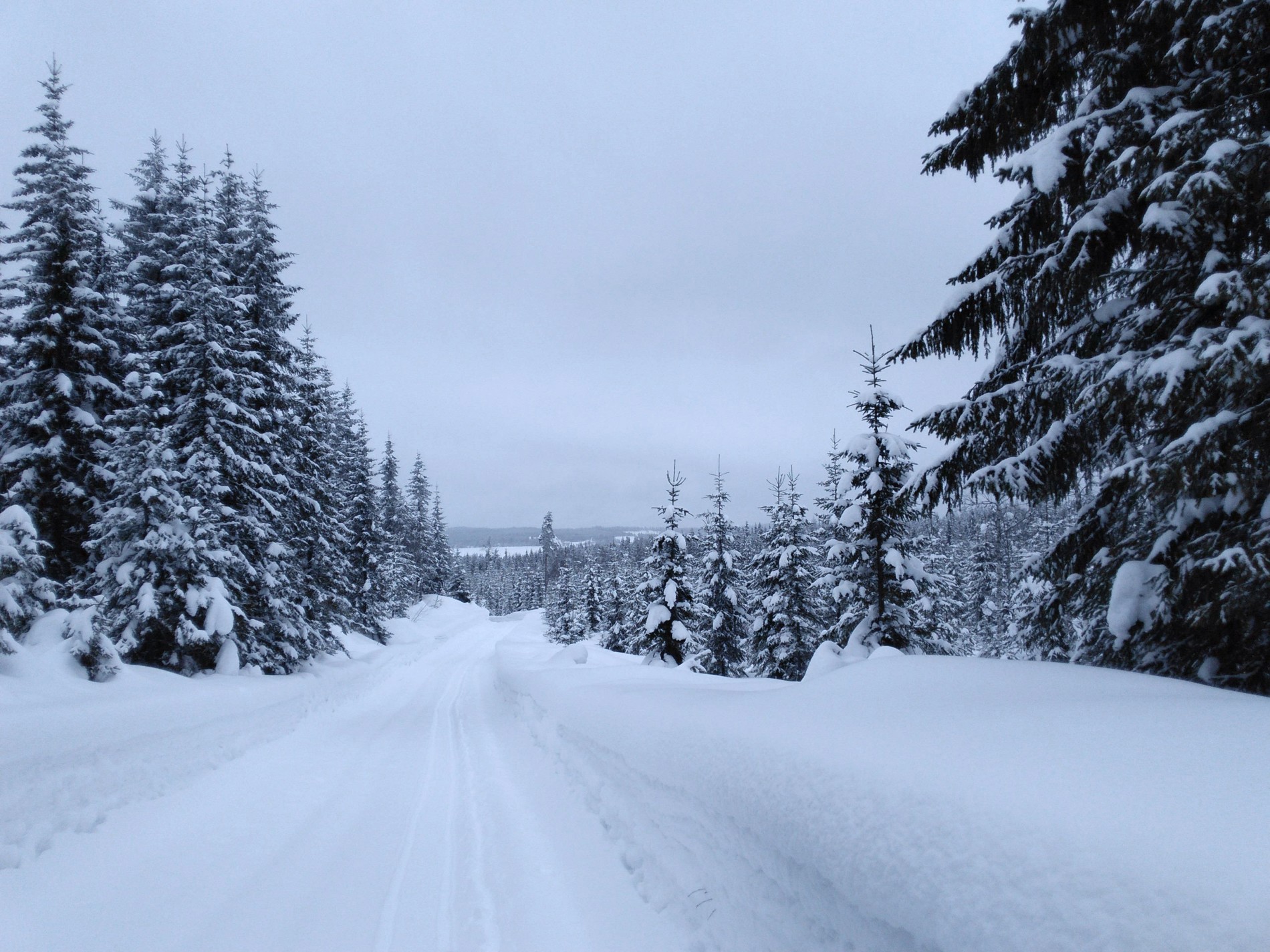 Lomsdalsvegen - et flott alternativ