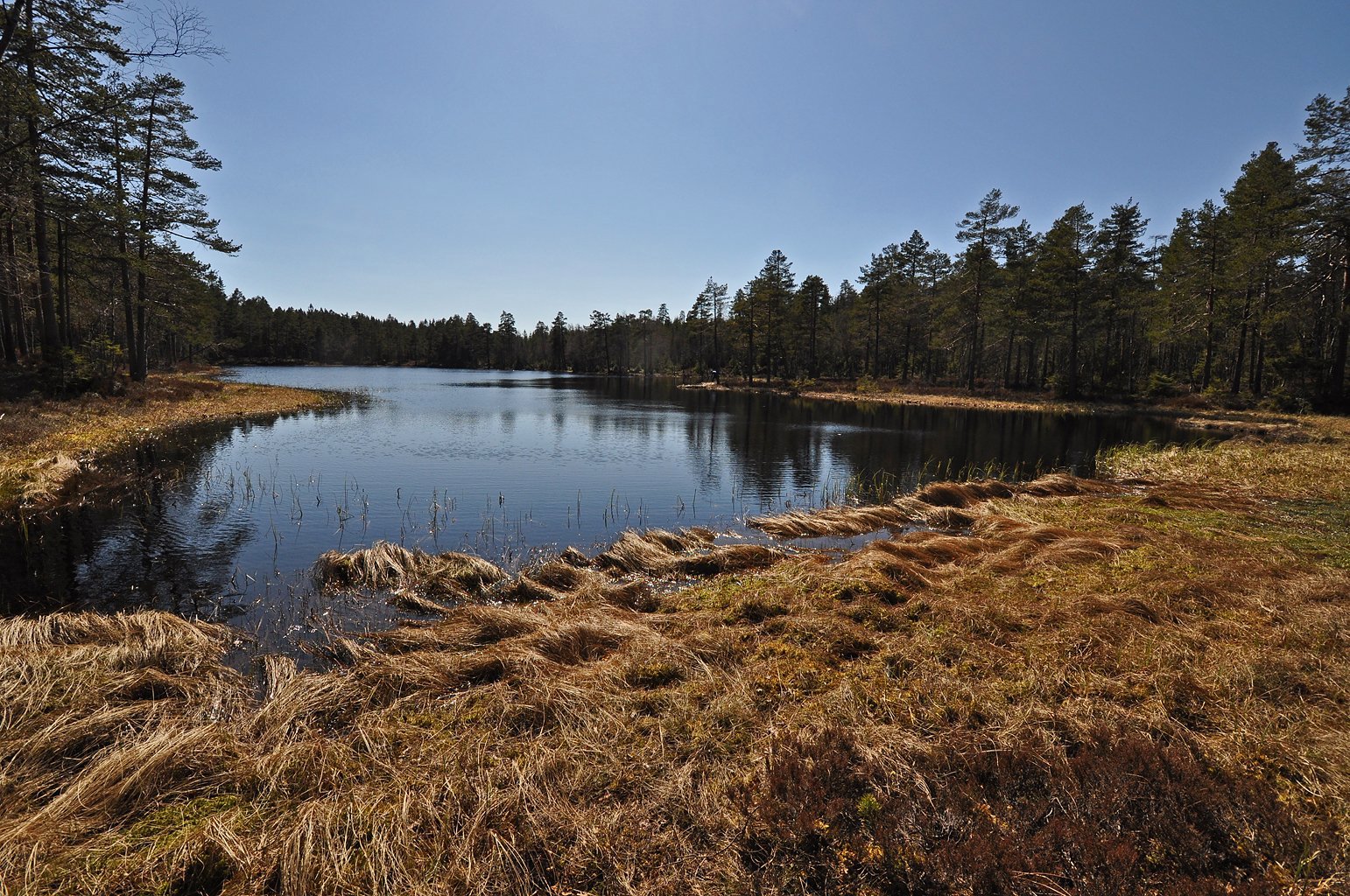 Lomtjern – en vernet idyll