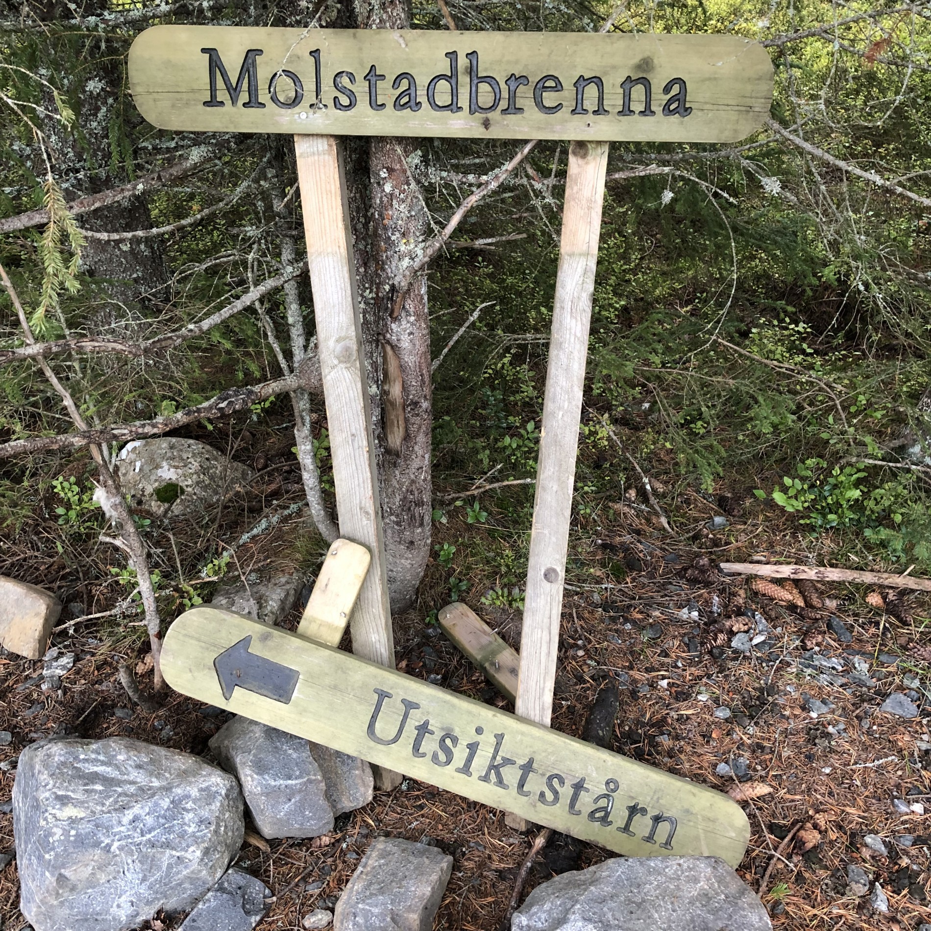 Lønnsom avstikker til topps