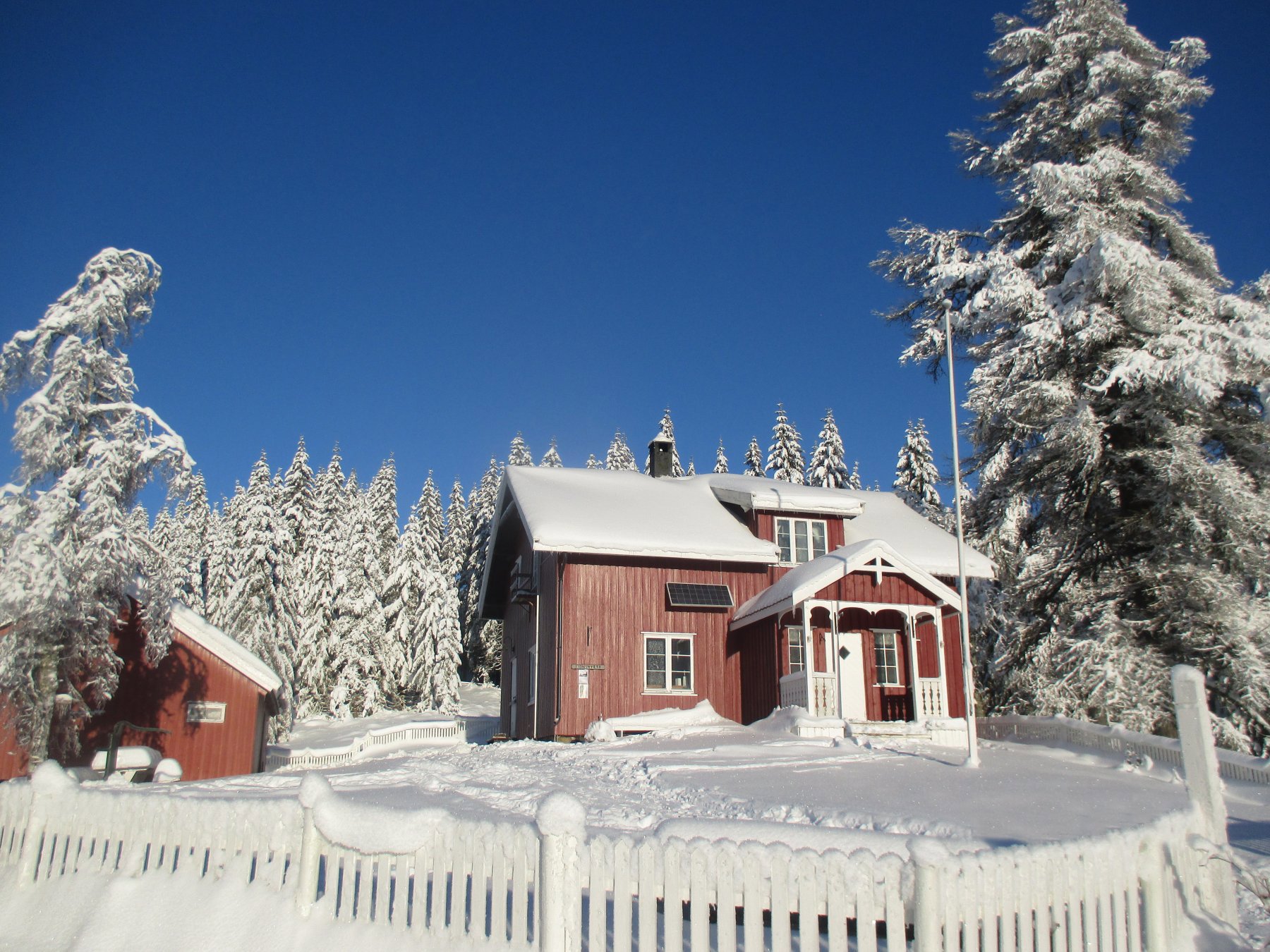 Løntjernbråten i januarsol