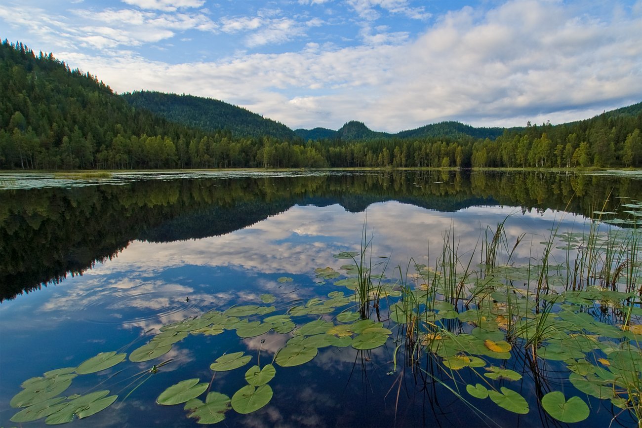 Lørdagskveld ved Lysedammene