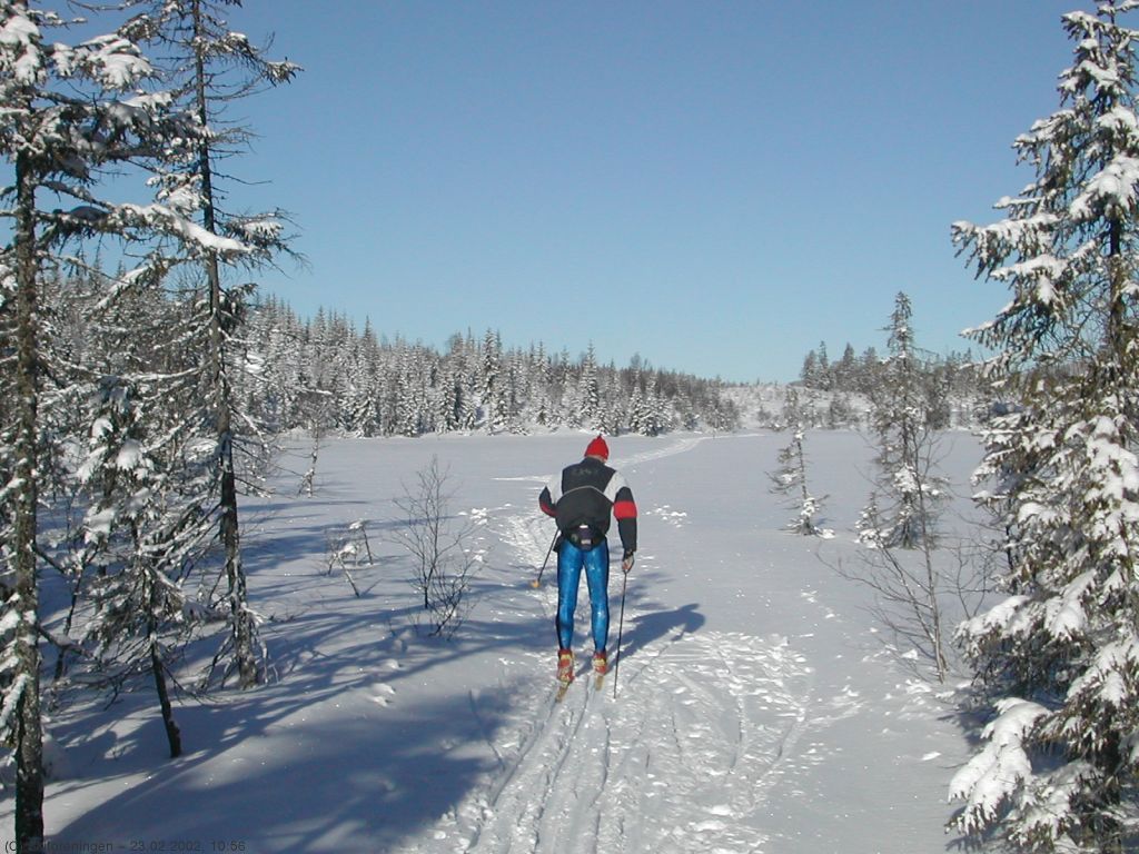 Løse spor ved Sandungskroktjern