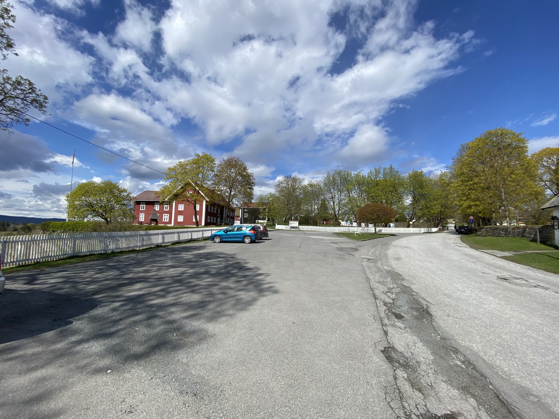 Løvet springer ut ved Ringerikes Museum