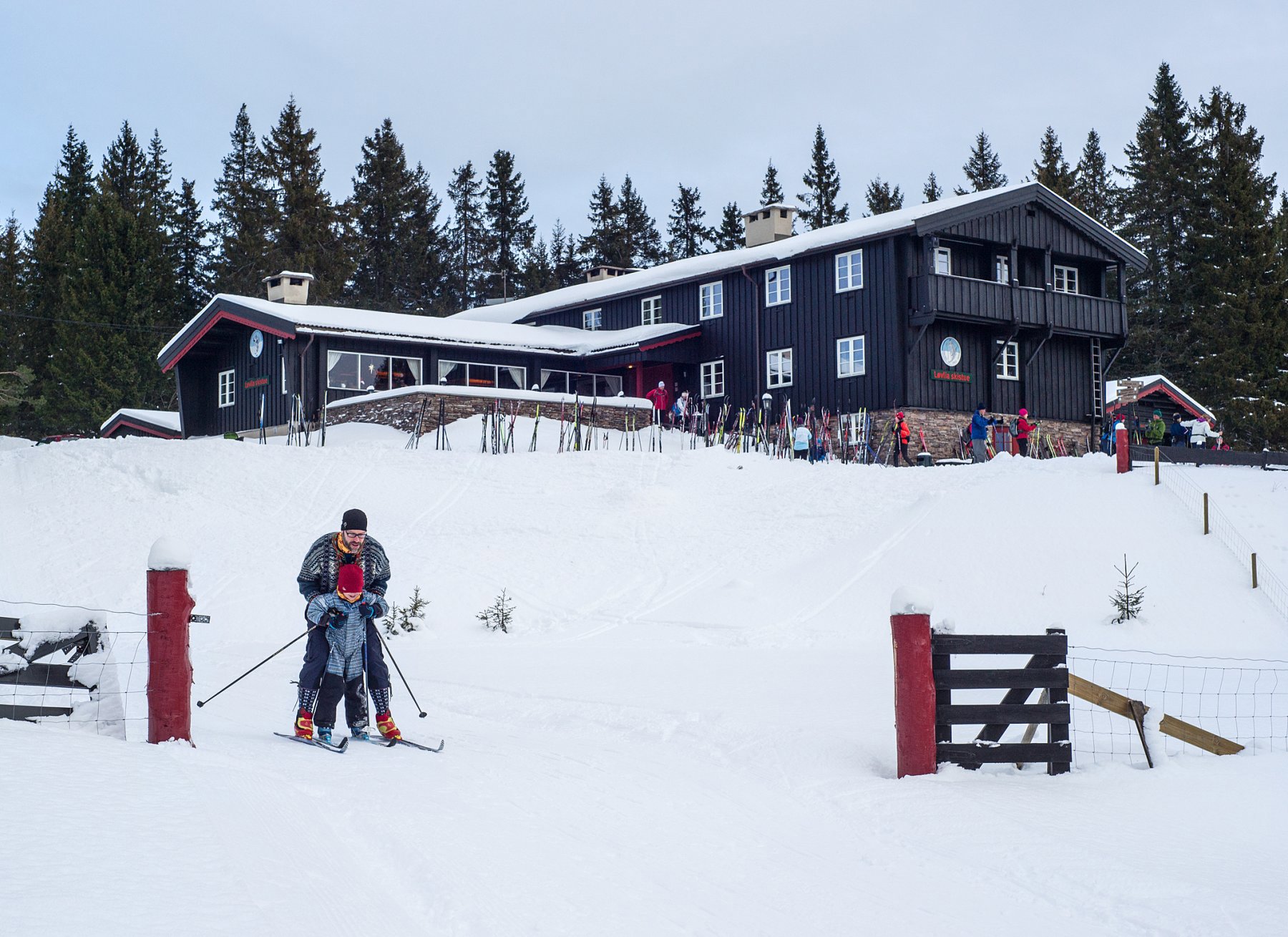 Løvlia - uten signaturtreet