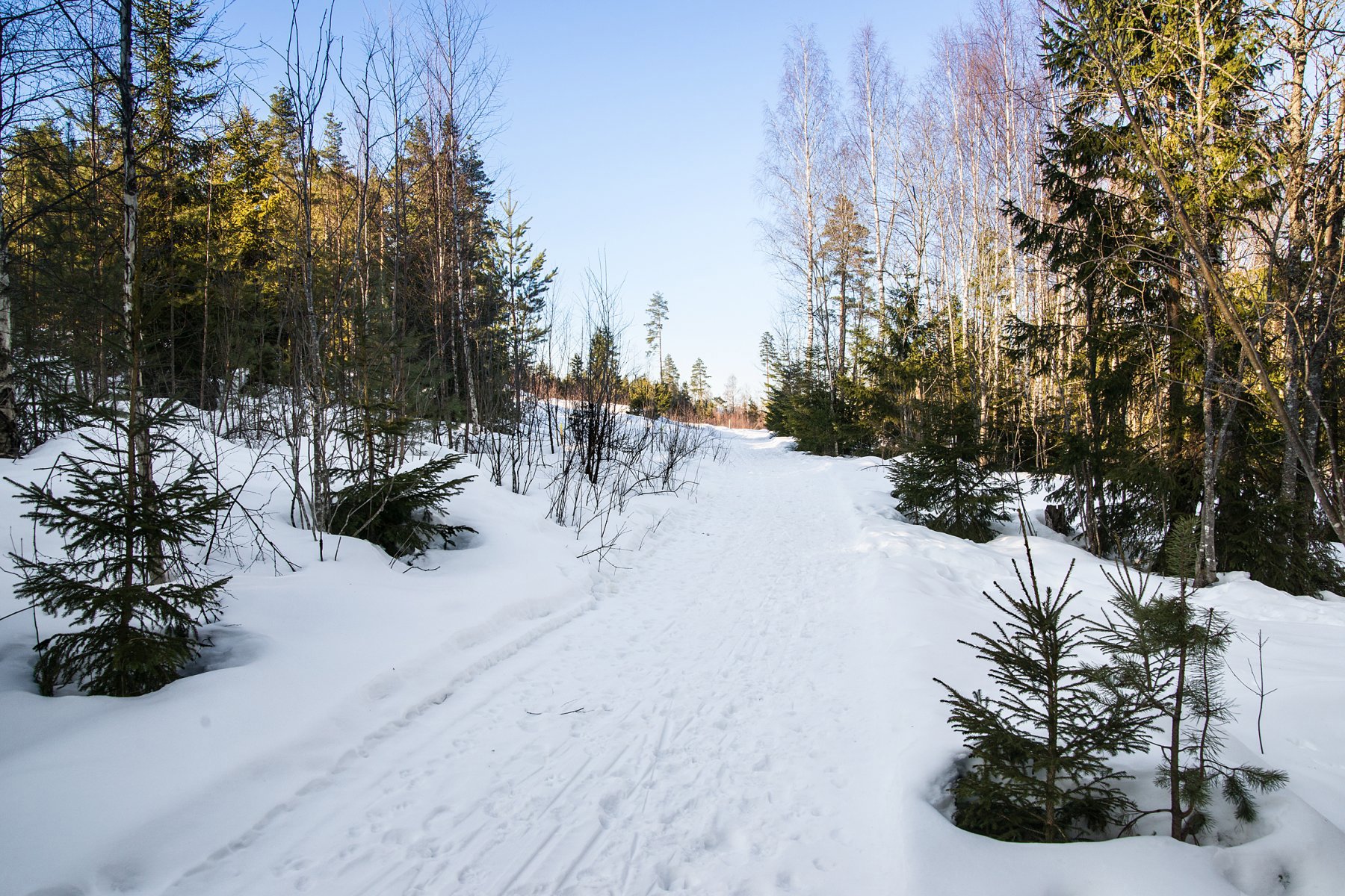 Løypa fra Bekkeberga