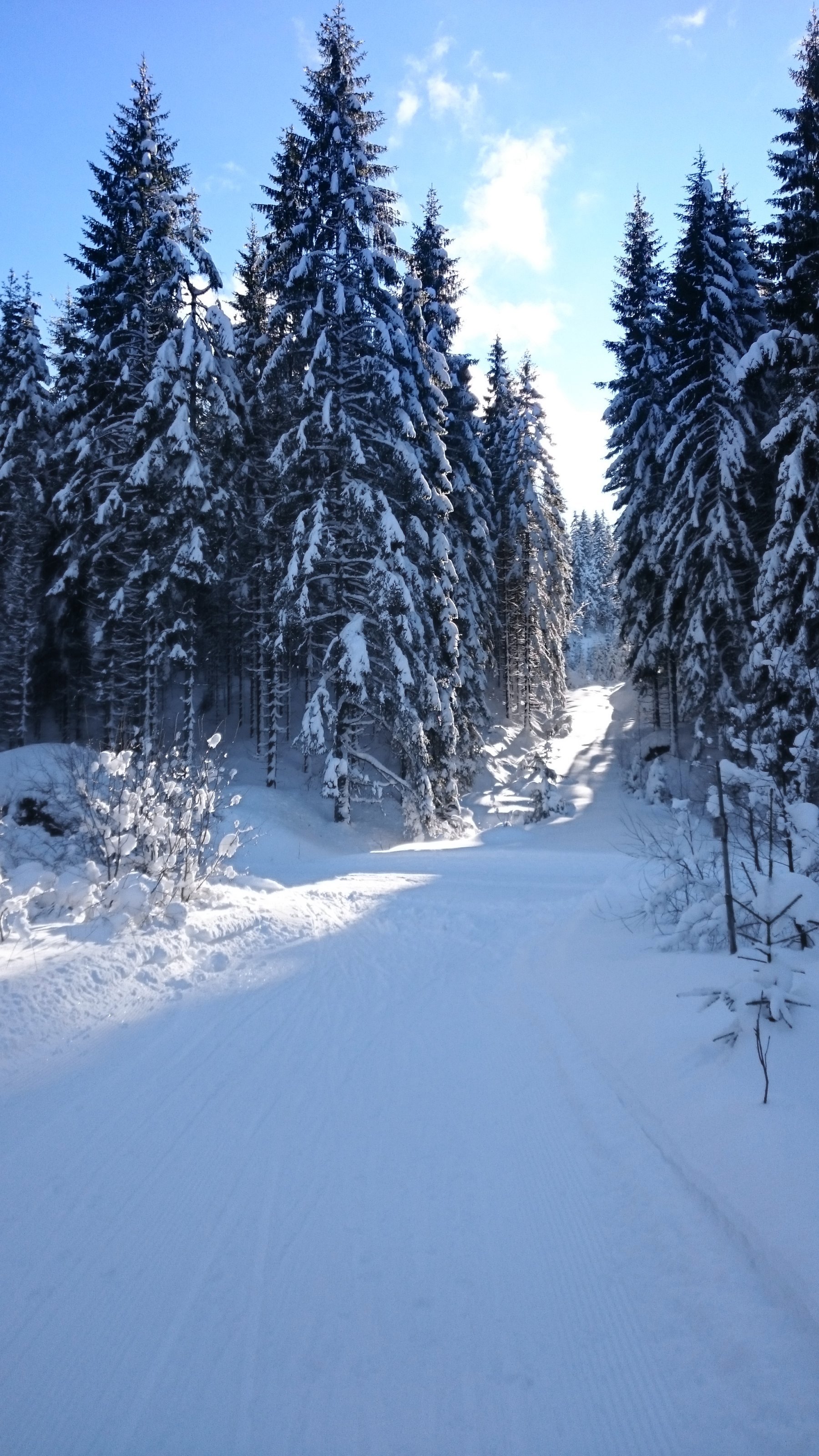 Løypa fra Grønsand møter Stikkvannsveien