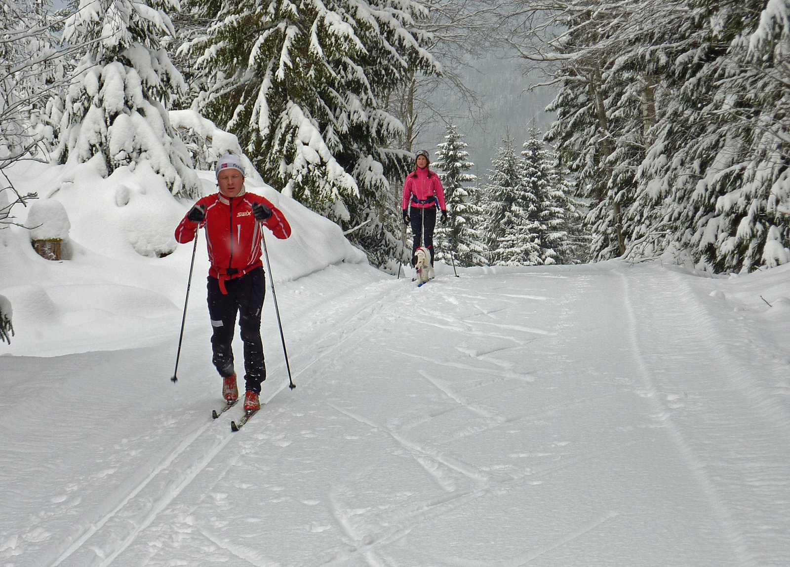 Løypa fra Siridalsvegen