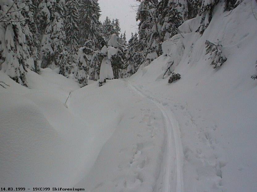 Løypa fra Spålen over Tvetjerna til Sandungen