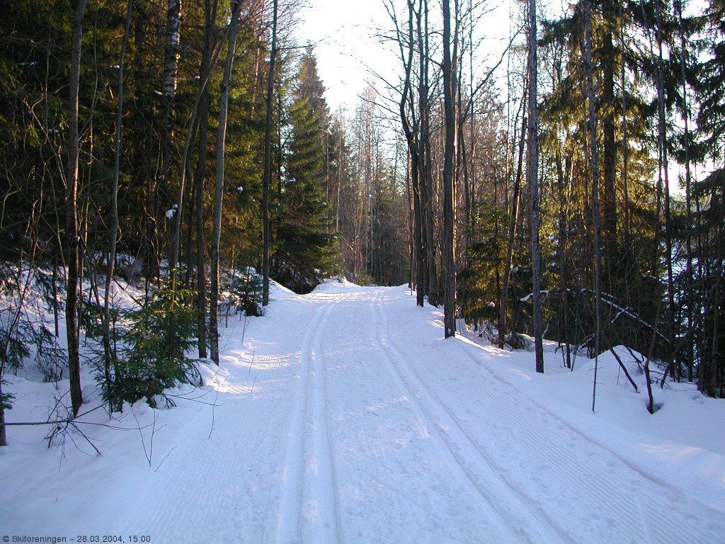 Løypa langs Bårdsrudtjern