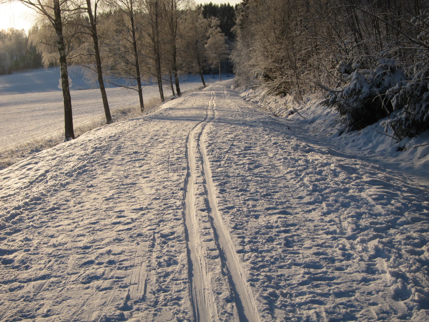 Løypa langs jordet fra Årnes