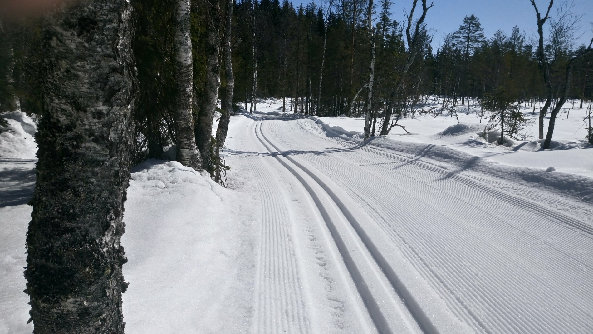 Løypa langs nordre Anderstjern