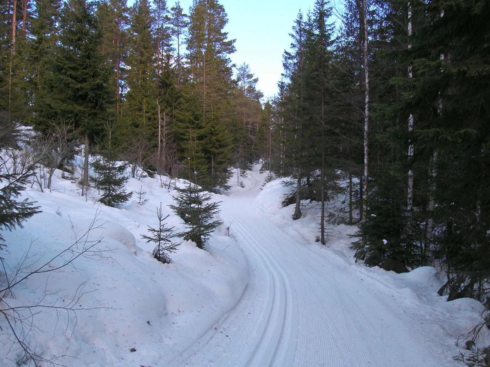 Løypa mellom Nes skianlegg og Vika