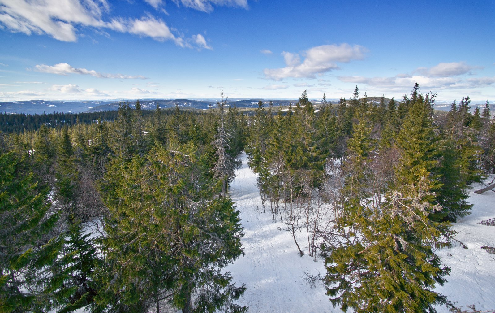 Løypa ned fra Fjellsjøkampen