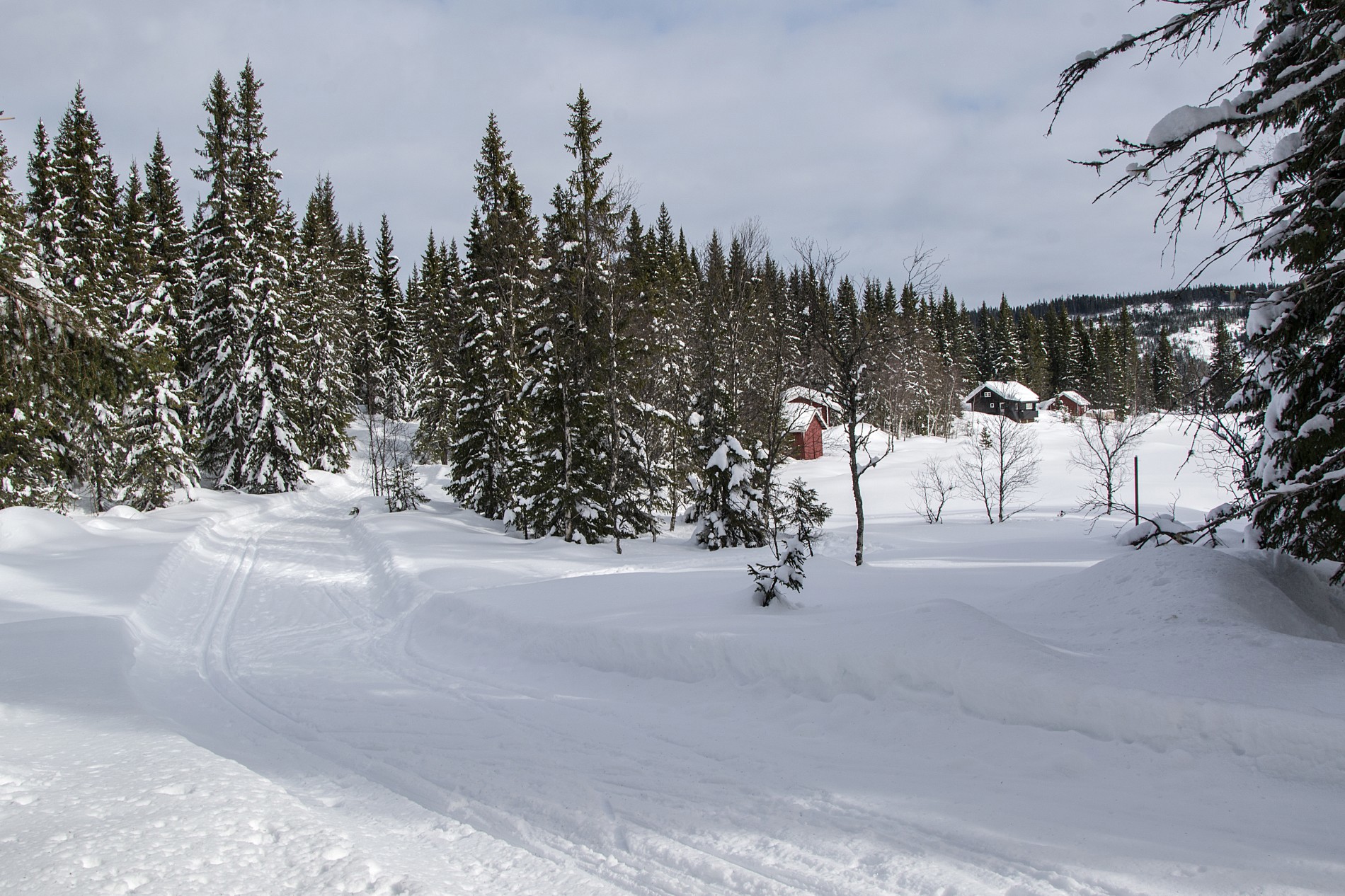 Løypa rundt nordenden av Store Svartungen