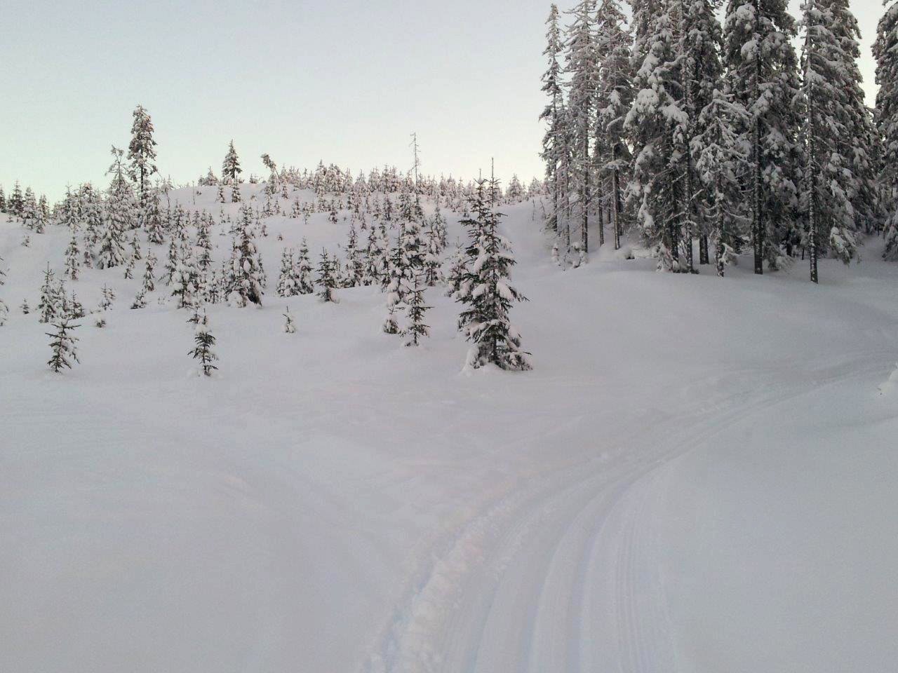 Løypa ved Mortenskollen