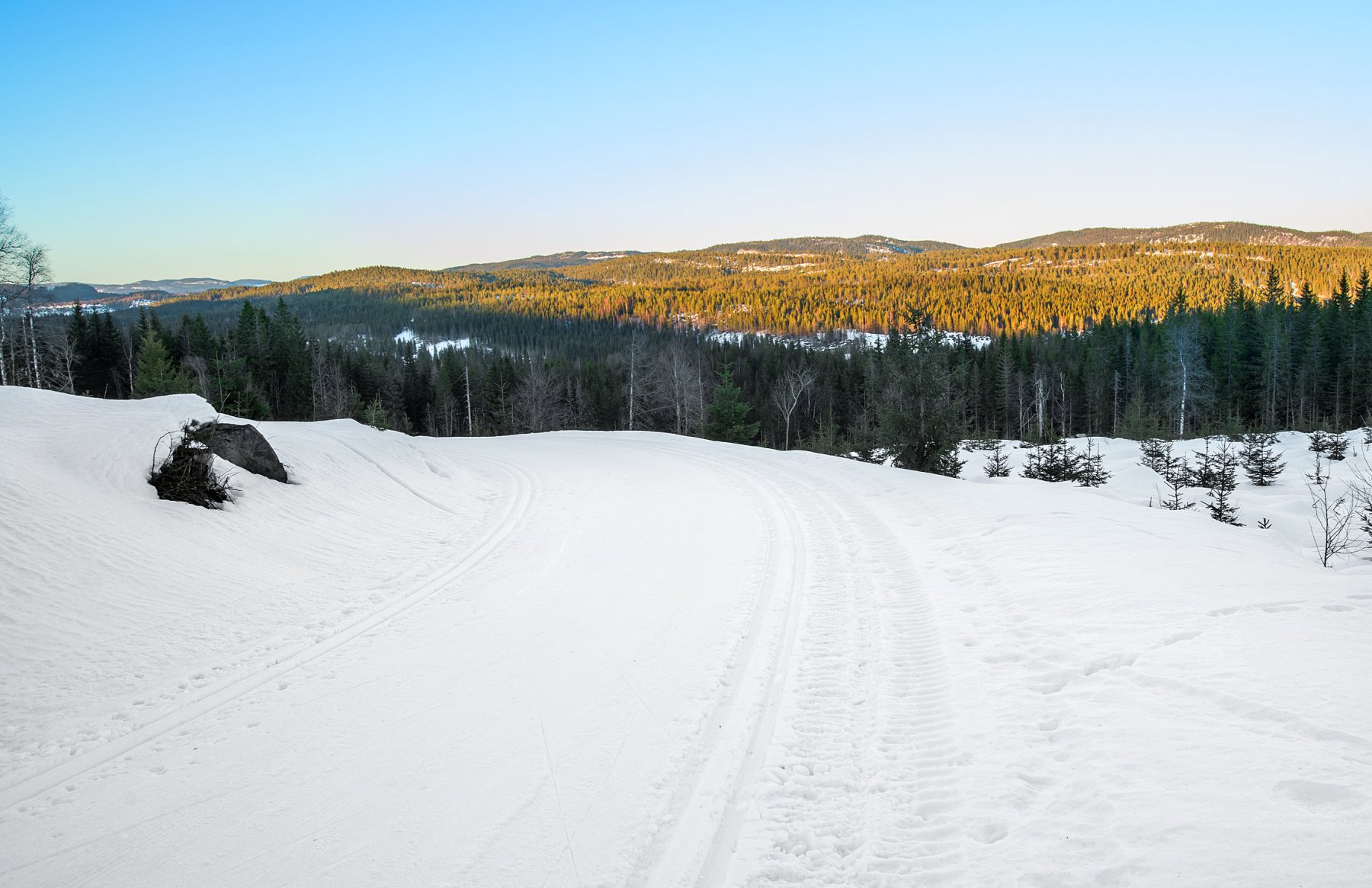 Løype i skygge, ås i sol