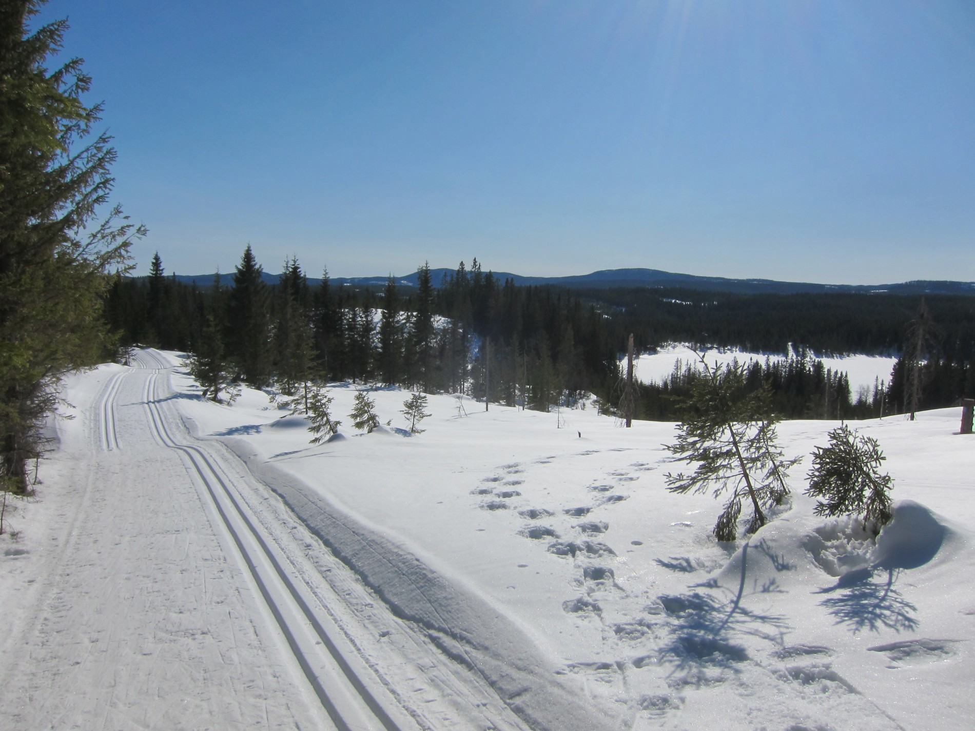 Løype med utsikt over Totenåsen