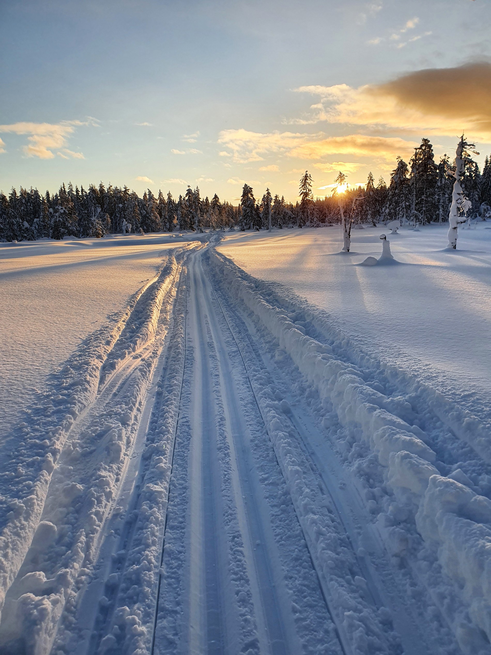 Løype mot solnedgang