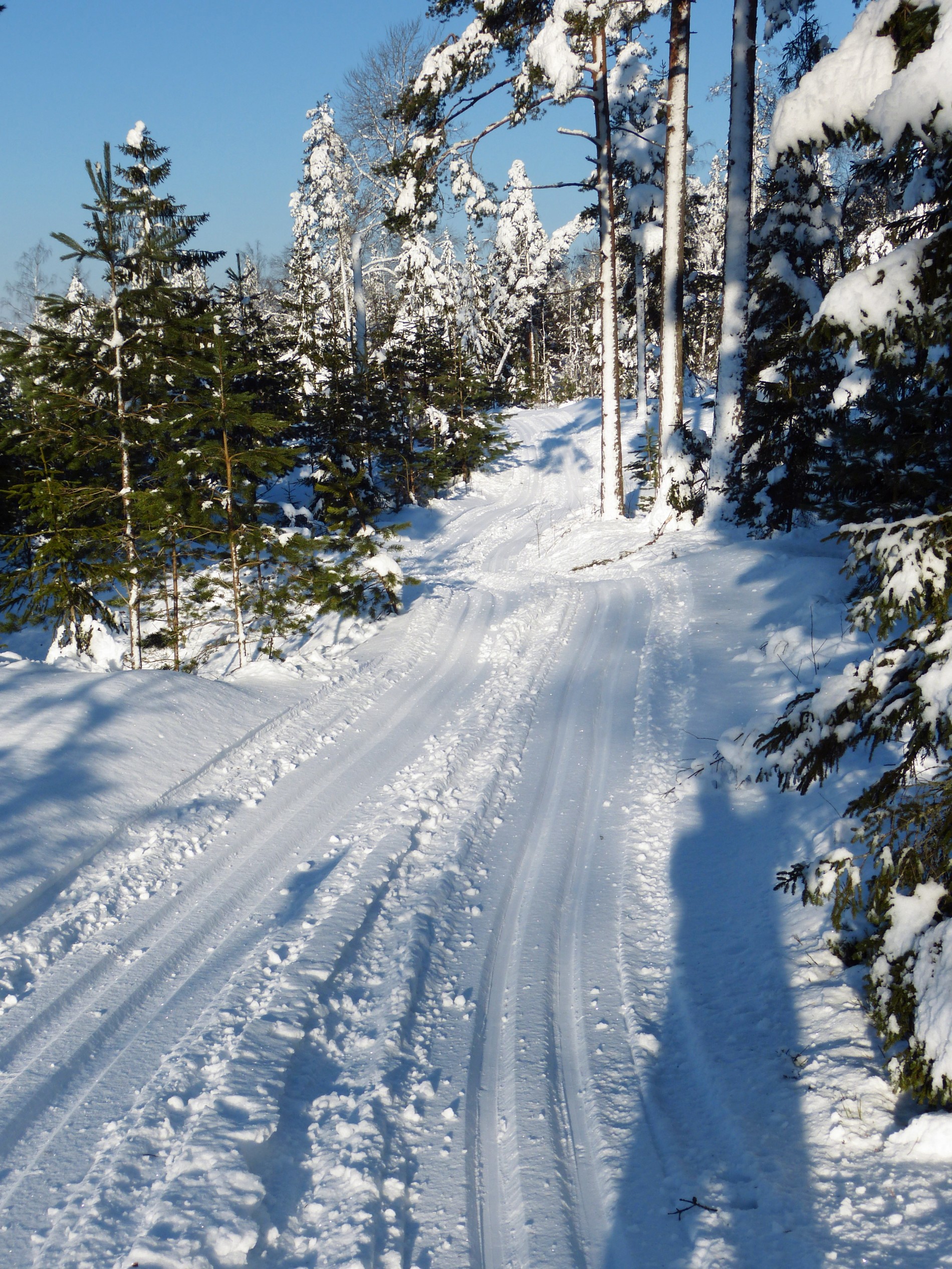 Løype over Sandemfjellet