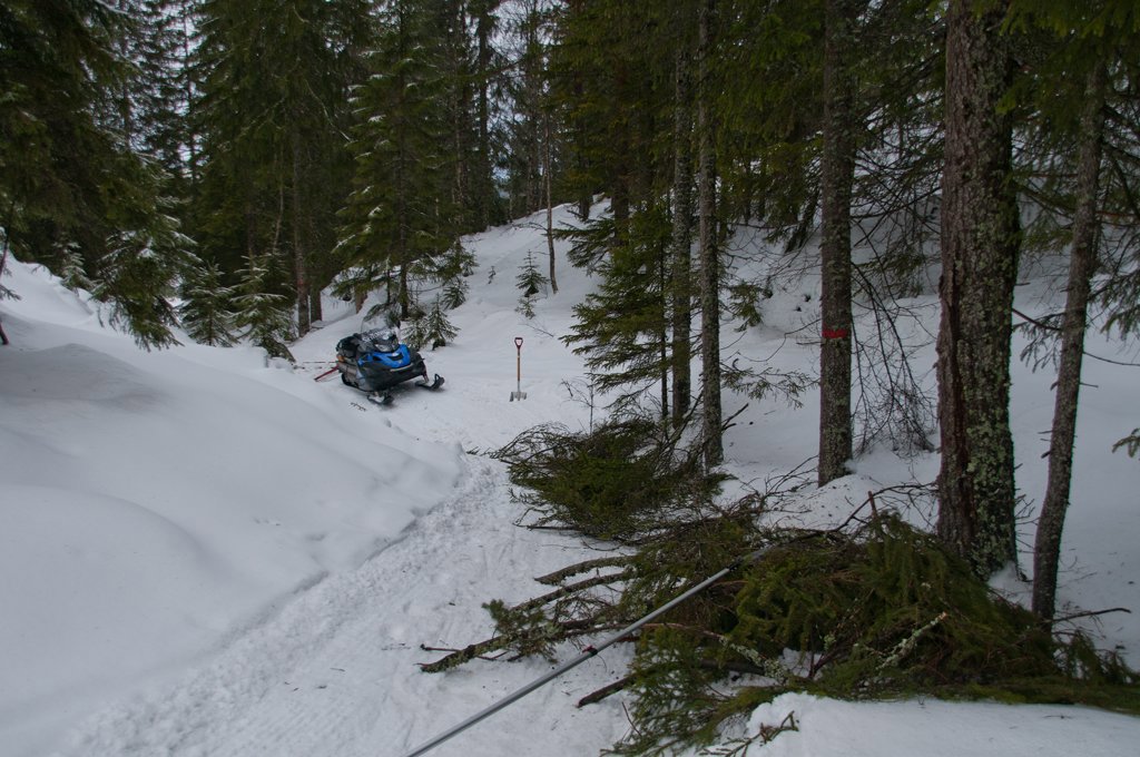 Løypearbeid i Stuttandersdalen