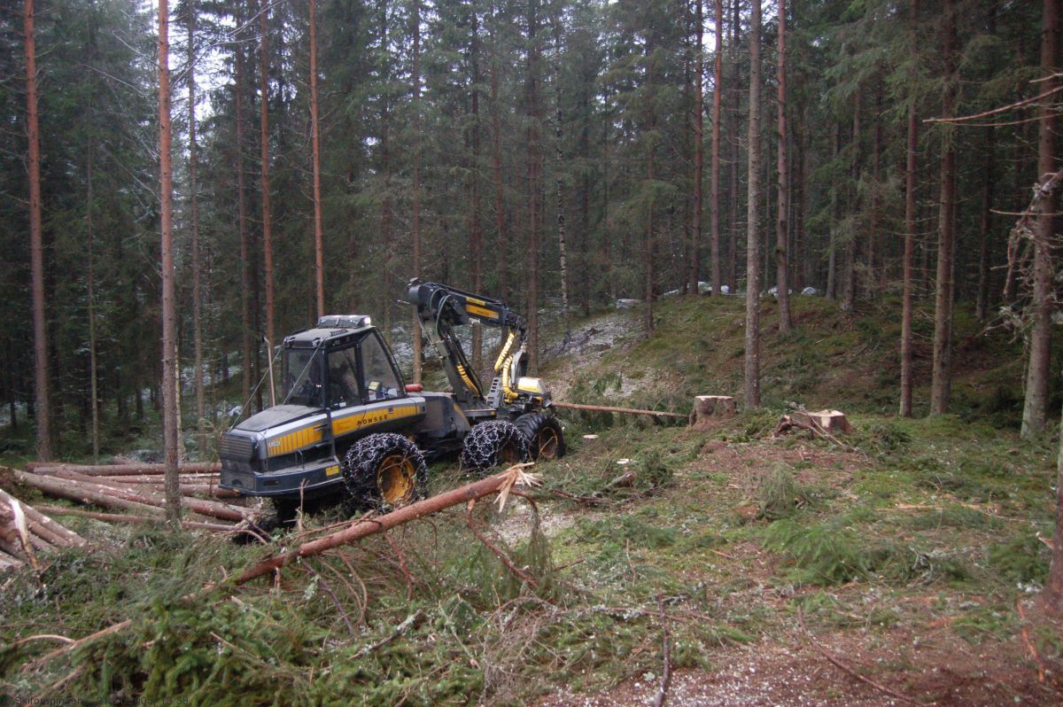 Løypebygging ved Harestua