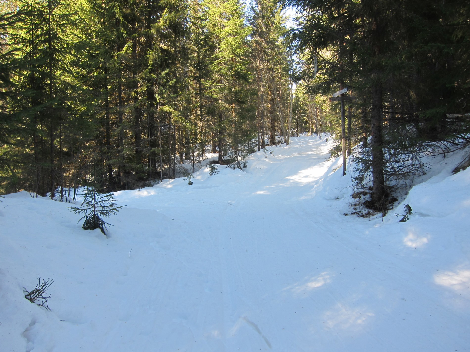 Løypedele i Borstudalen
