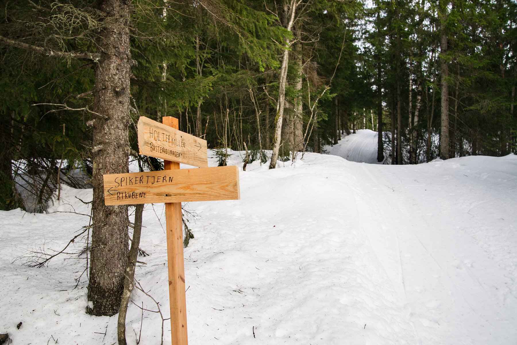 Løypedele på Holterkollen