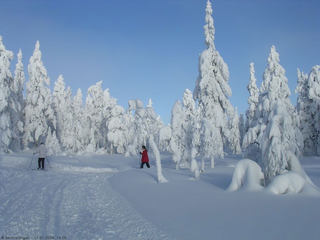 Løypedele på Lauvliflaka