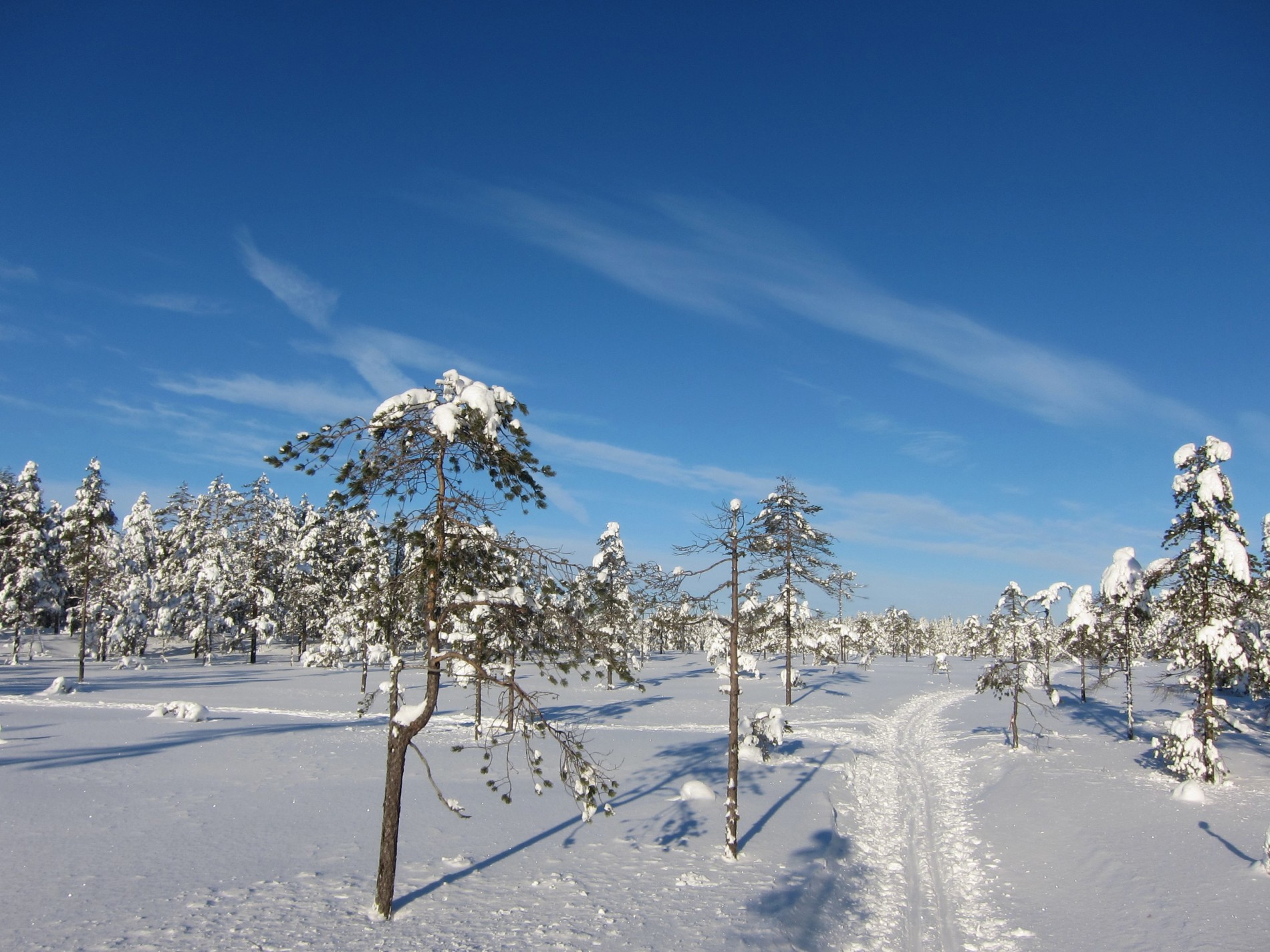 Løypedele på Tretjernsmyra