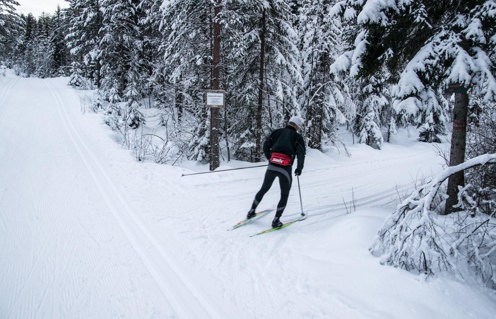 Løypedele ved Breidmåsan
