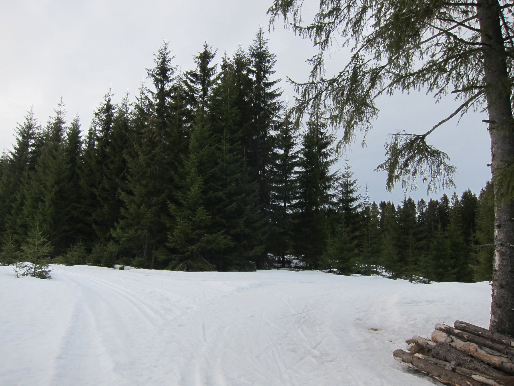 Løypedele ved Fargo