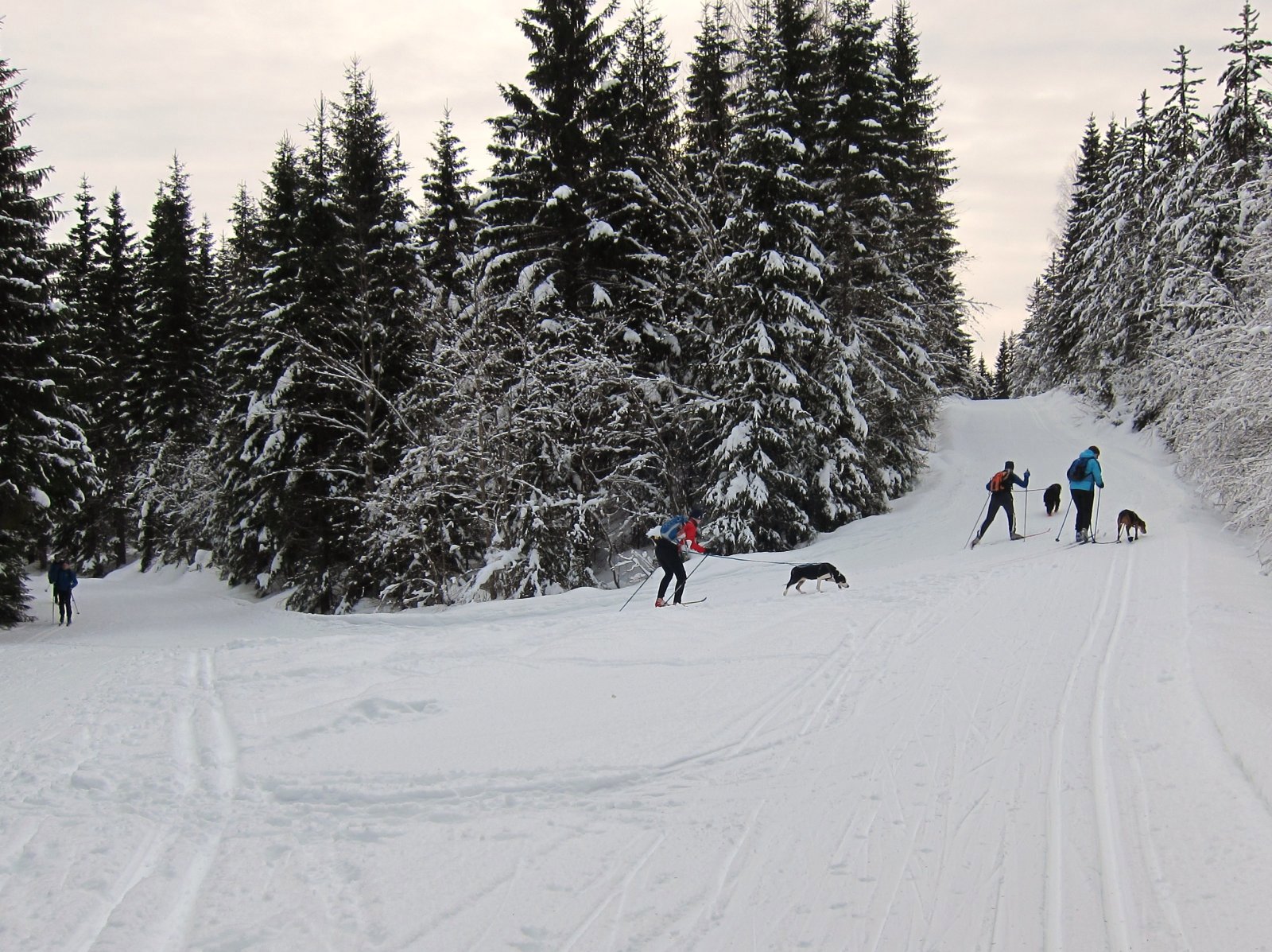 Løypedele ved Honsjøhytta