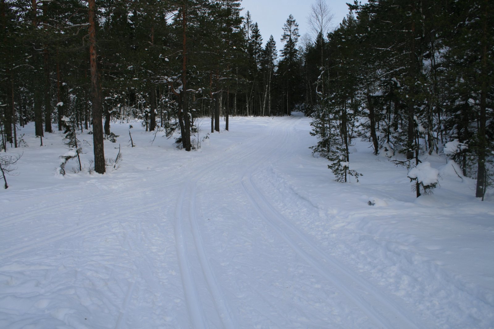 Løypedele ved Østernmyra