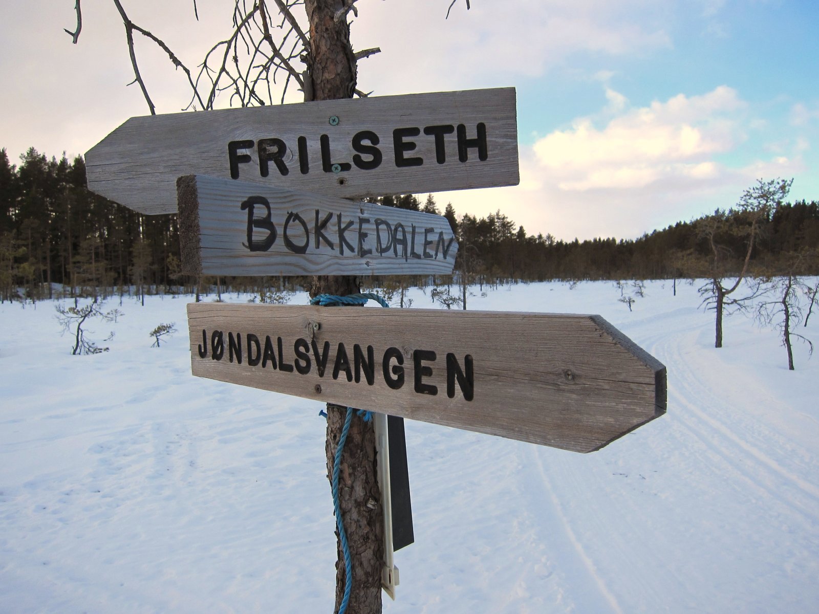 Løypedele ved Starrtjennet