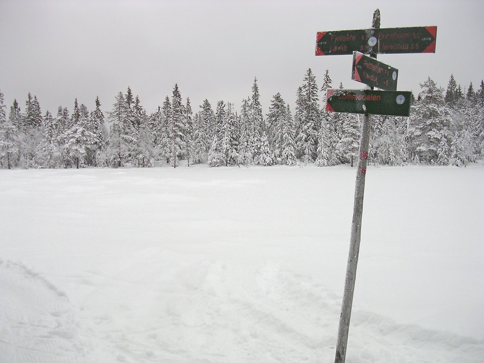 Løypedele ved Torgetjern