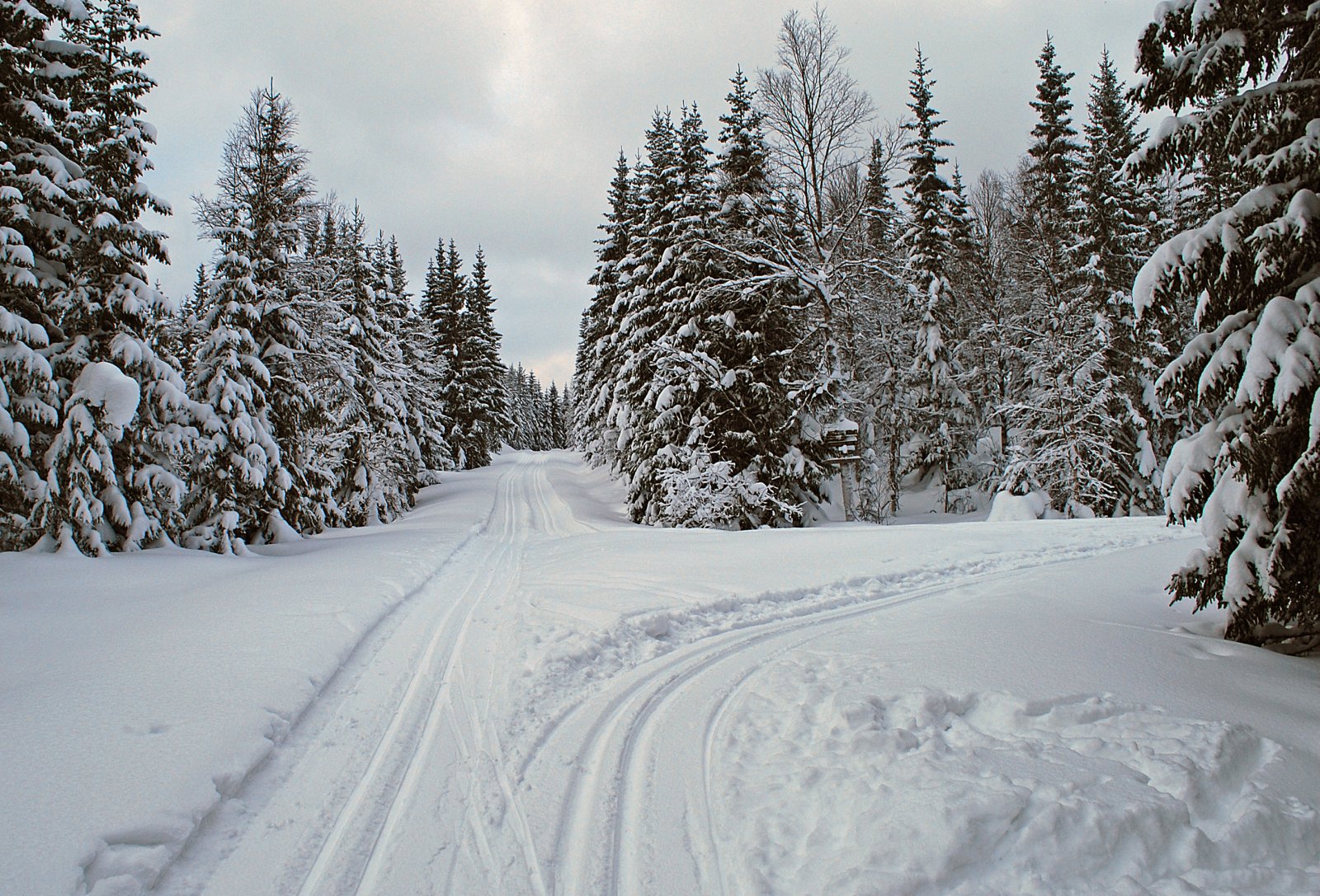 Løypedele ved Vesle Damtjennet
