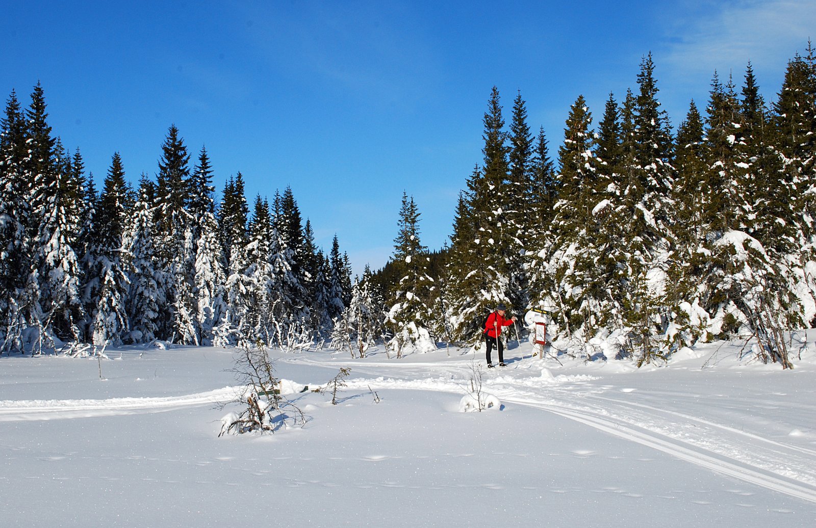 Løypekryss Abbortjenn